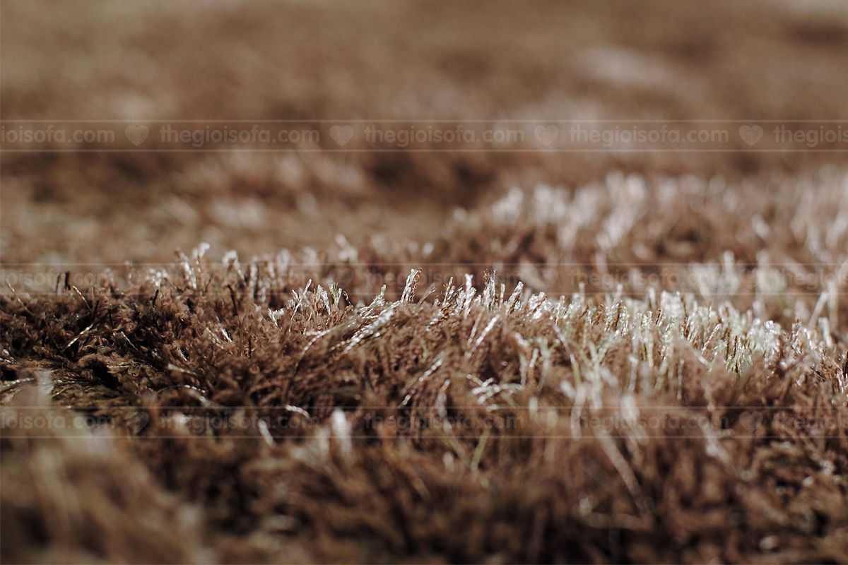Thảm phòng khách TGSFT – 5