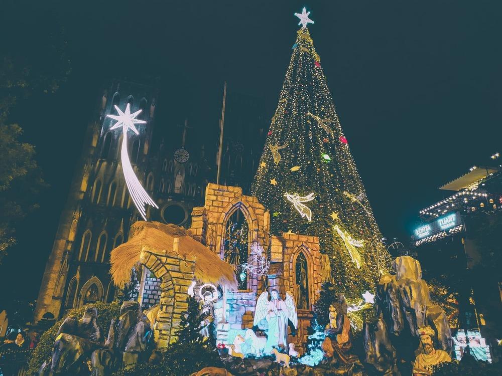 cây thông noel 
