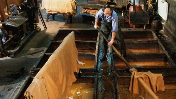 Vì sao hàng triệu khách hàng chọn sofa da bò Malaysia cho ngôi nhà của họ?