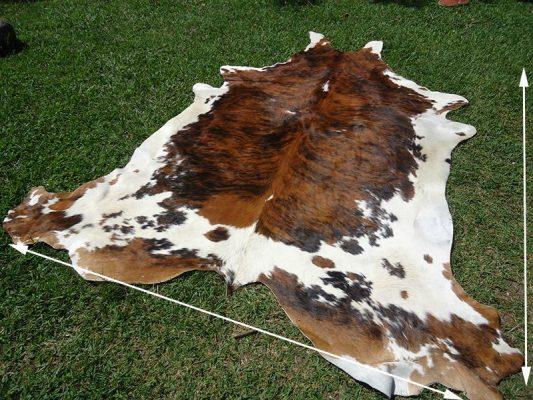 Vì sao hàng triệu khách hàng chọn sofa da bò Malaysia cho ngôi nhà của họ?