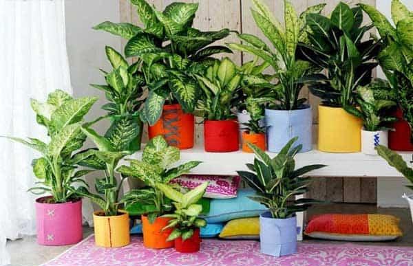 Vật phẩm phong thủy cho tuổi Giáp Thìn