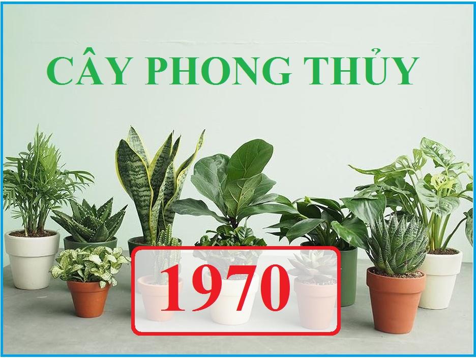 Phong thủy tuổi 1970
