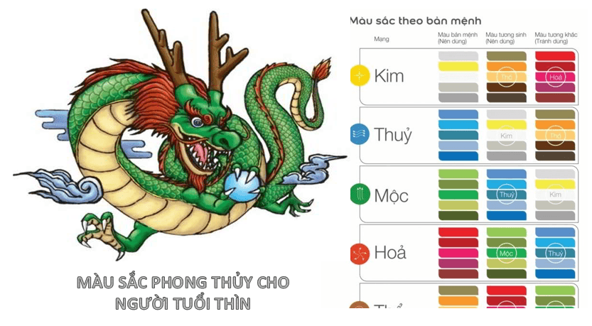 1952 hợp màu gì