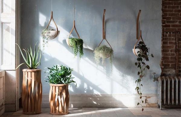 Sử dụng những chậu cây xanh