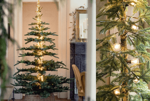đèn trang trí cây thông noel