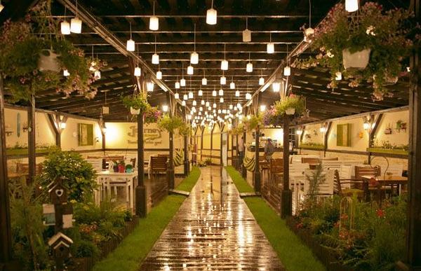 Đèn dây đui cho quán cafe