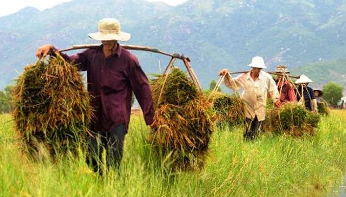 màu sắc