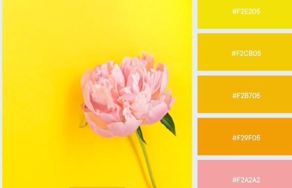 hồng pastel kết hợp với màu cam