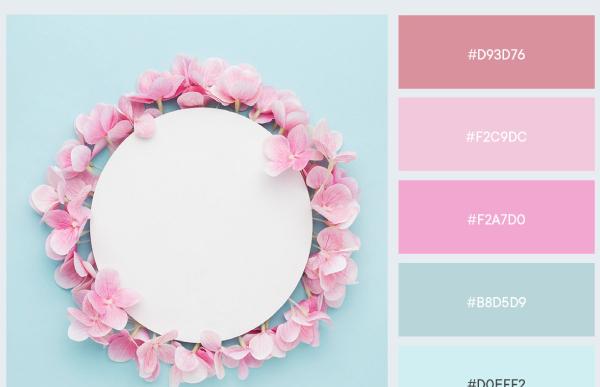 Hồng pastel phối với màu trắng