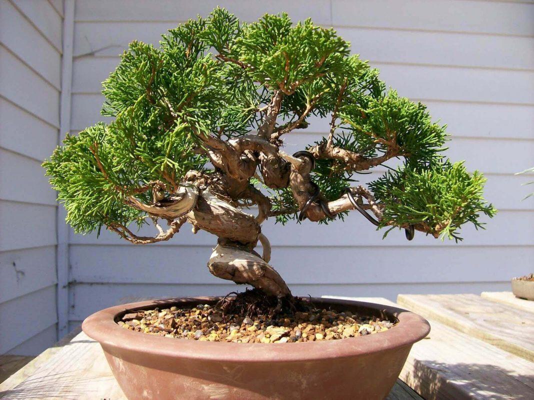 ý tưởng quà tặng cho ngày của cha