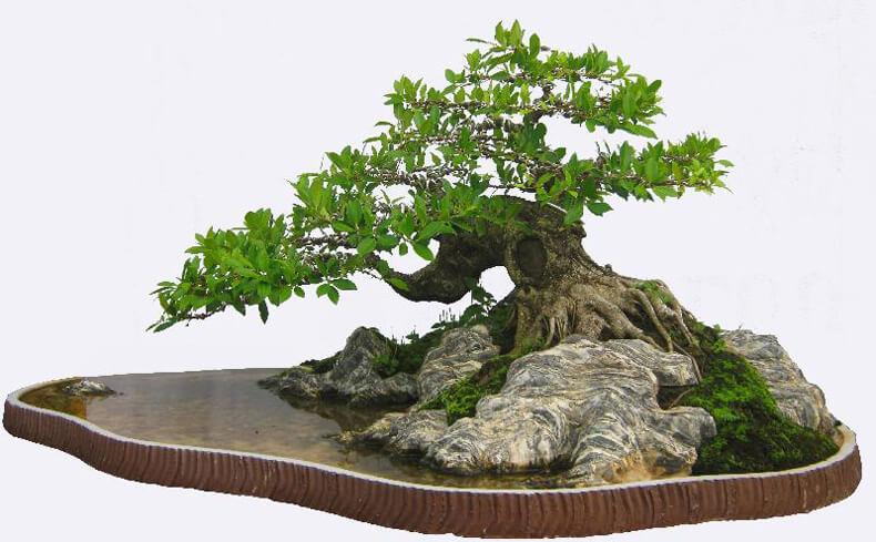 quà tặng sếp