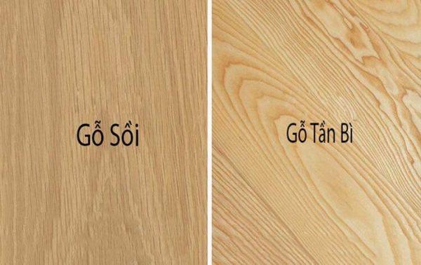 Gỗ tần bì là gì? Chất liệu gỗ đưa vào sản xuất nội thất có tốt không?