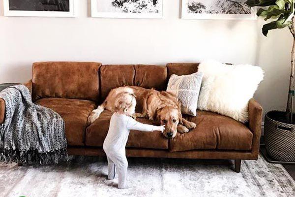 Mẫu sofa da lộn đẹp 2021 (4)