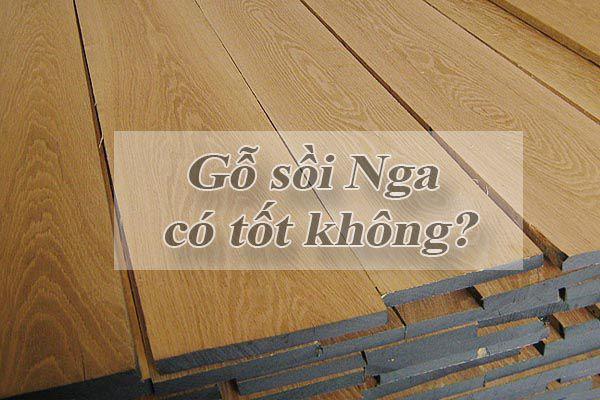 Gỗ sồi Nga có tốt không